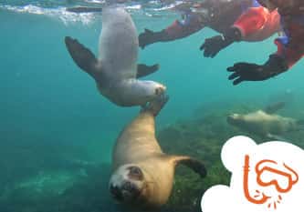 Ocean Divers — photo 3