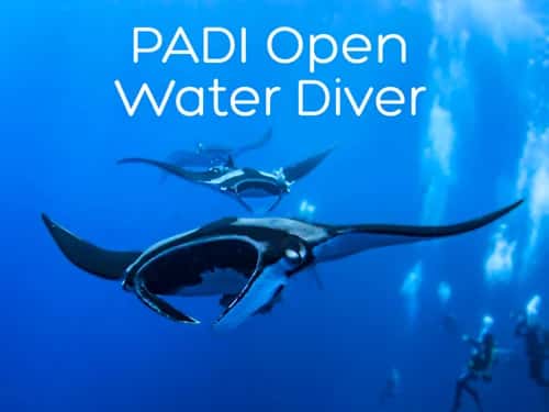 Ocean View Diving Services