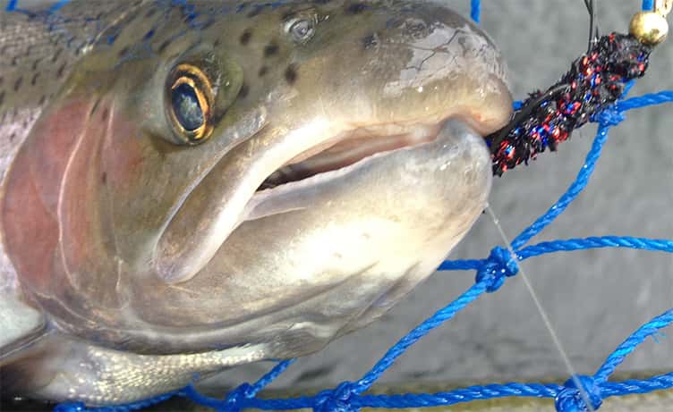 Oregon Fishing Adventure — photo 1