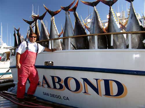 Point Loma Sportfishing — photo 2