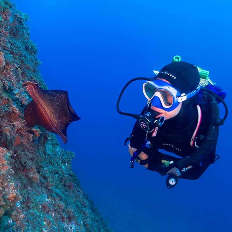 Poseidon Diving — photo 3
