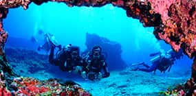 Queiroz Diver — photo 3