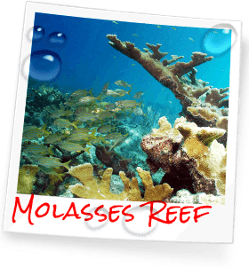 Rainbow Reef Dive Center