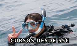 Raya's Diving
