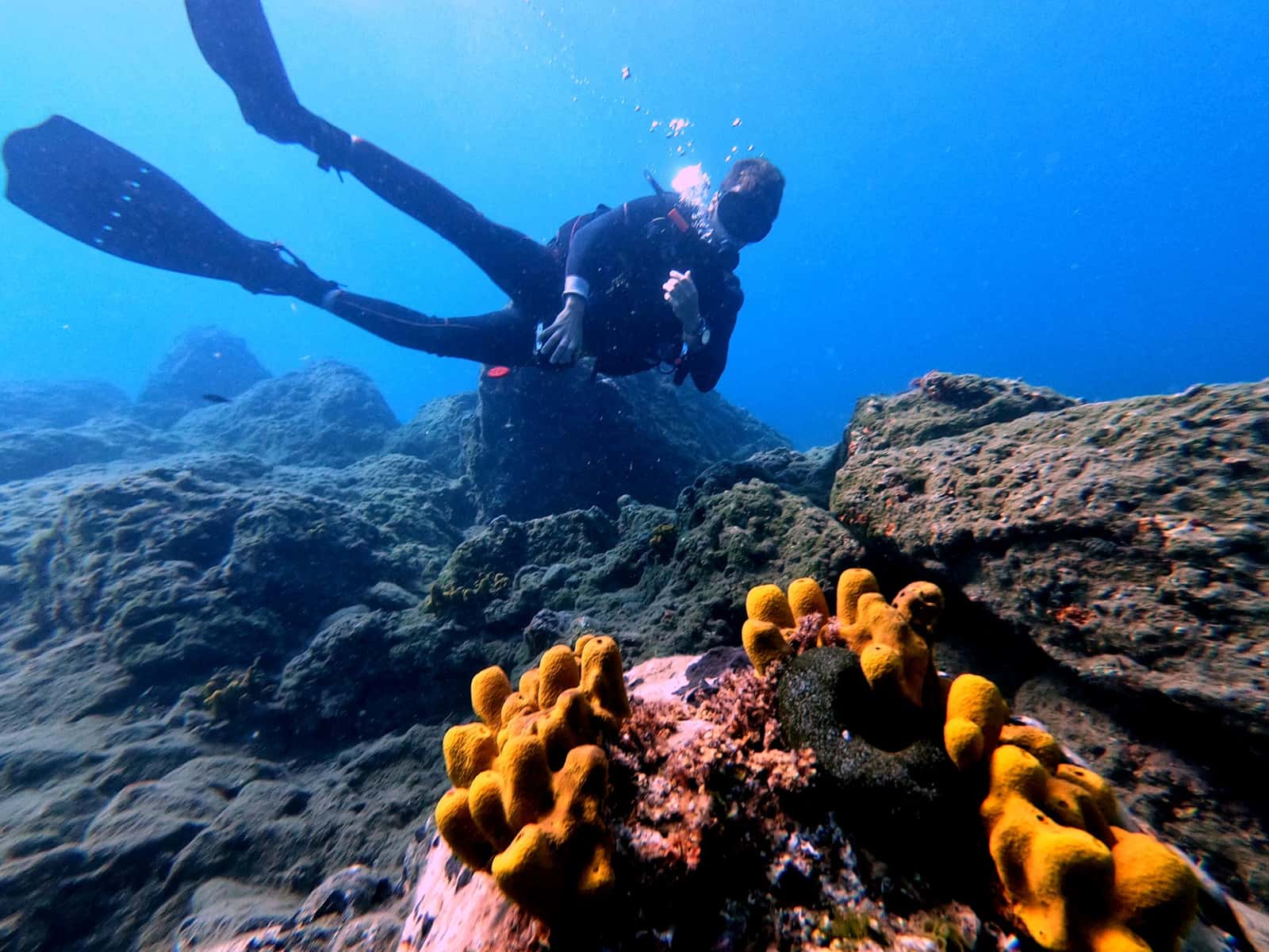 Santorini Scuba Academy — photo 2