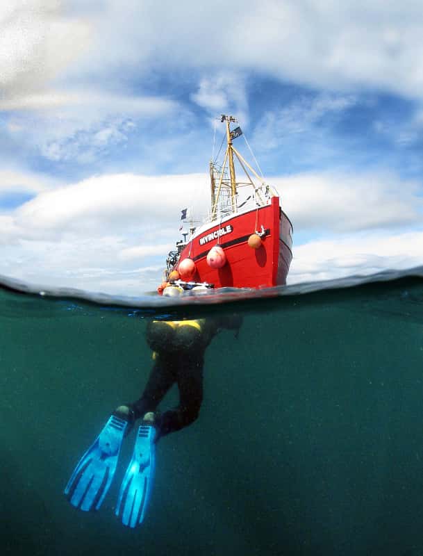 Scapa Flow Diving Holidays — photo 2