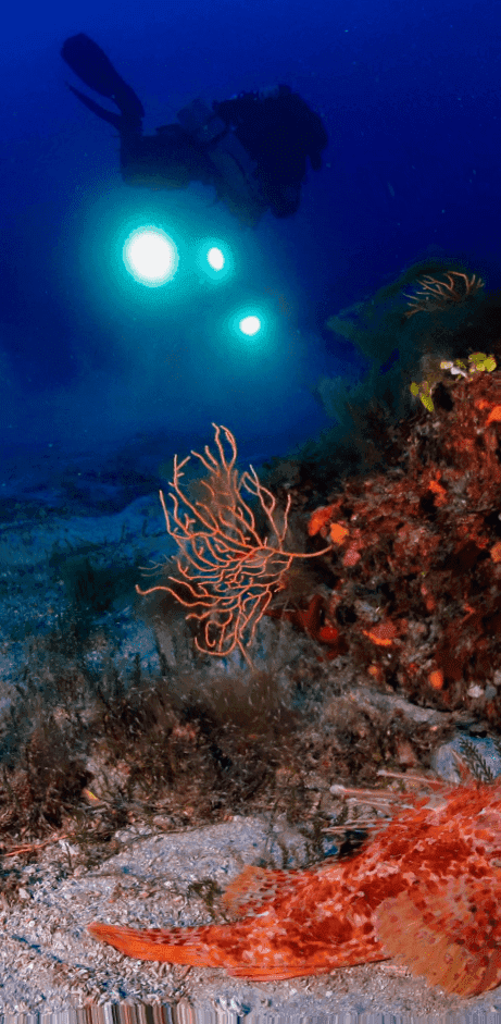 Scuba Revolution Sardinia — photo 3