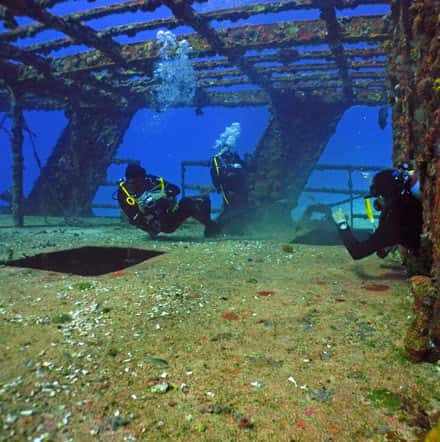 Scuba Diving Cancun