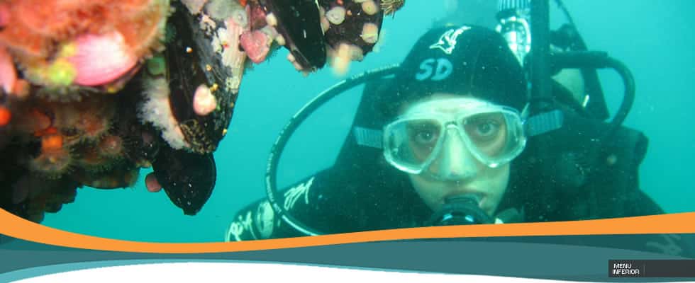 Scuba Duba