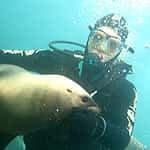 Scuba Duba — photo 2