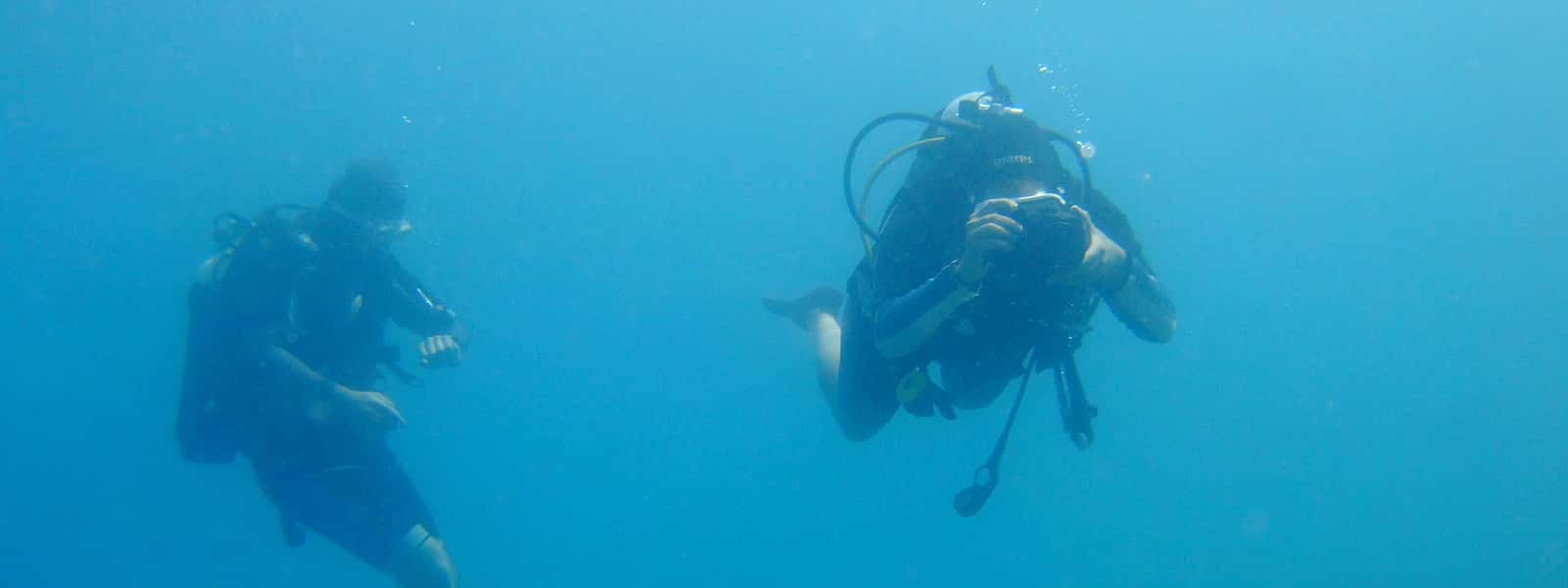 Corfu Diving Scubanauts — photo 2