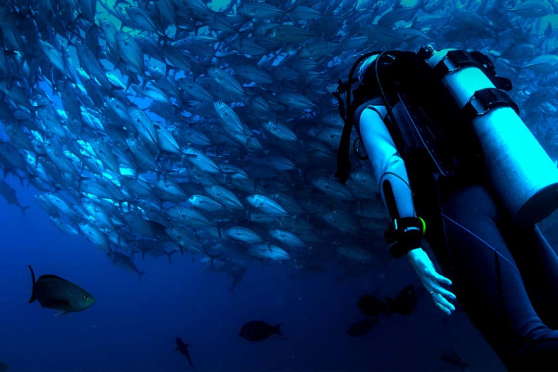 Serial Divers — photo 2