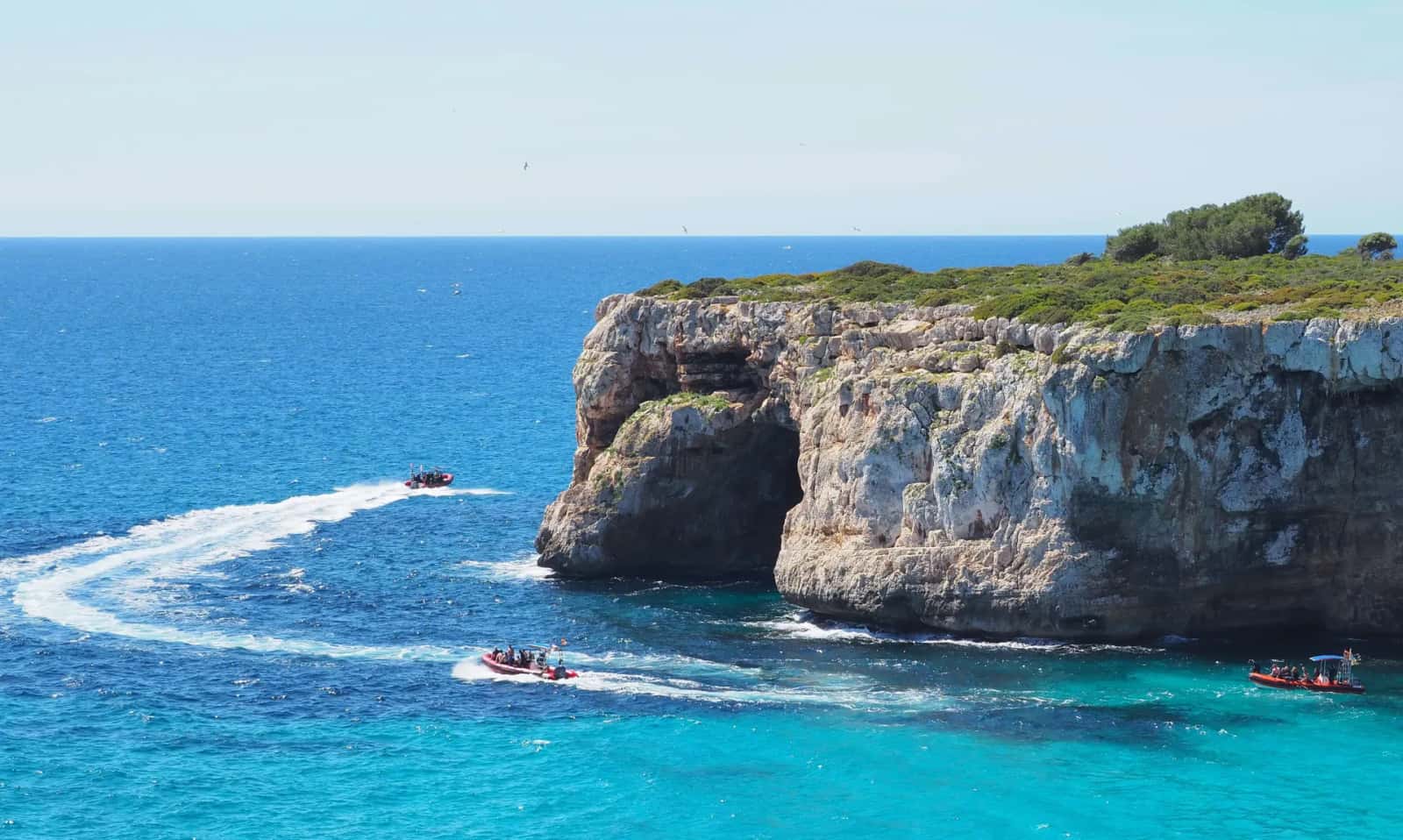Skualo Porto Cristo