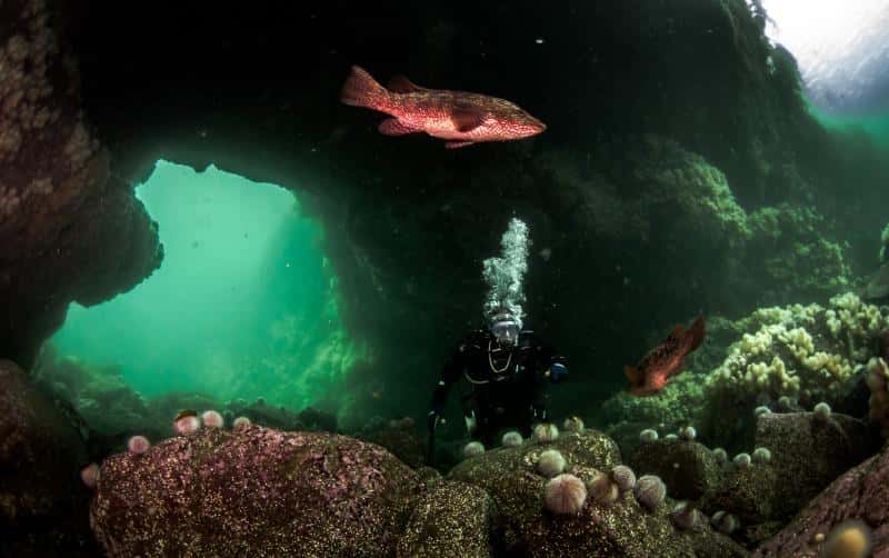 St Abbs Diving — photo 2