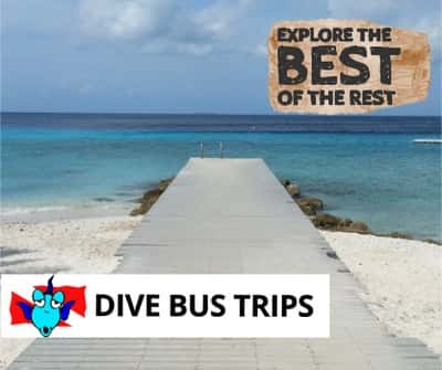 The Dive Bus — photo 3