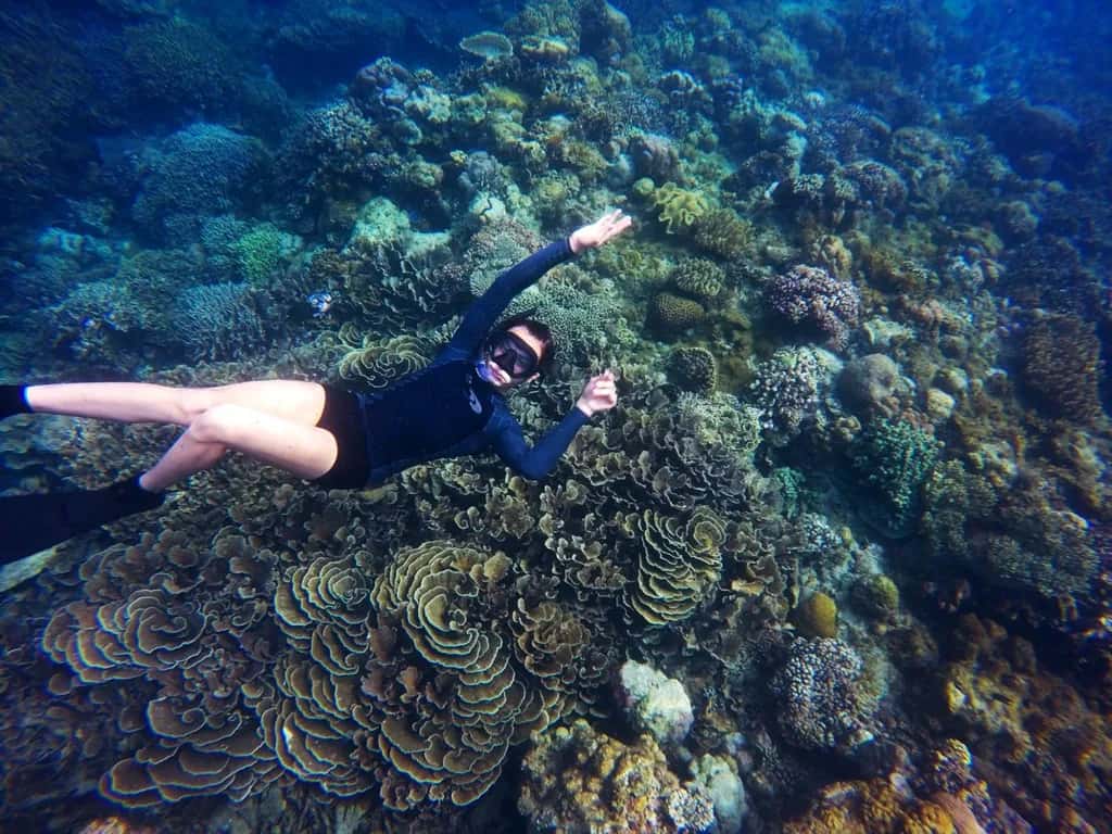 Tropical Sea Divers — photo 3