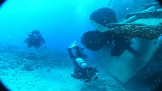 Tropical Sea Divers — photo 2