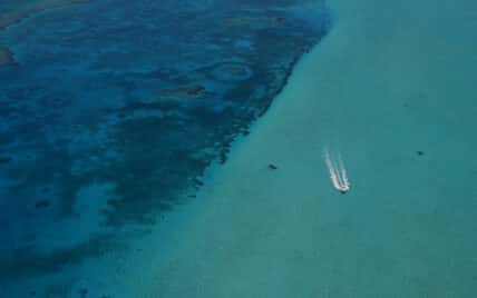 Turneffe Island Resort