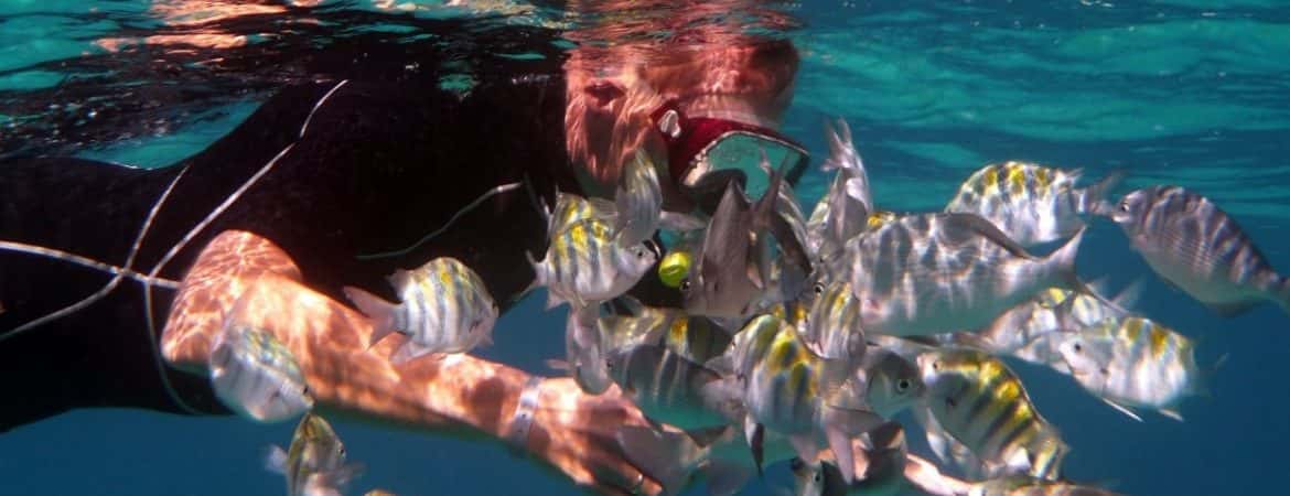 Varadero Diving Tour — photo 2