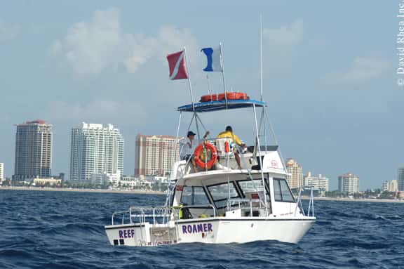 Brownie's YachtDiver