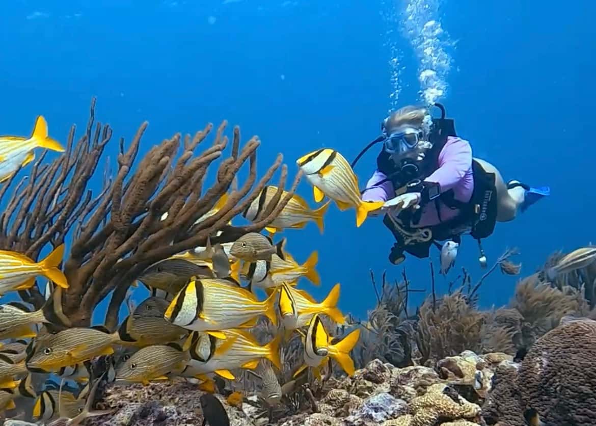 Xico Dive Center