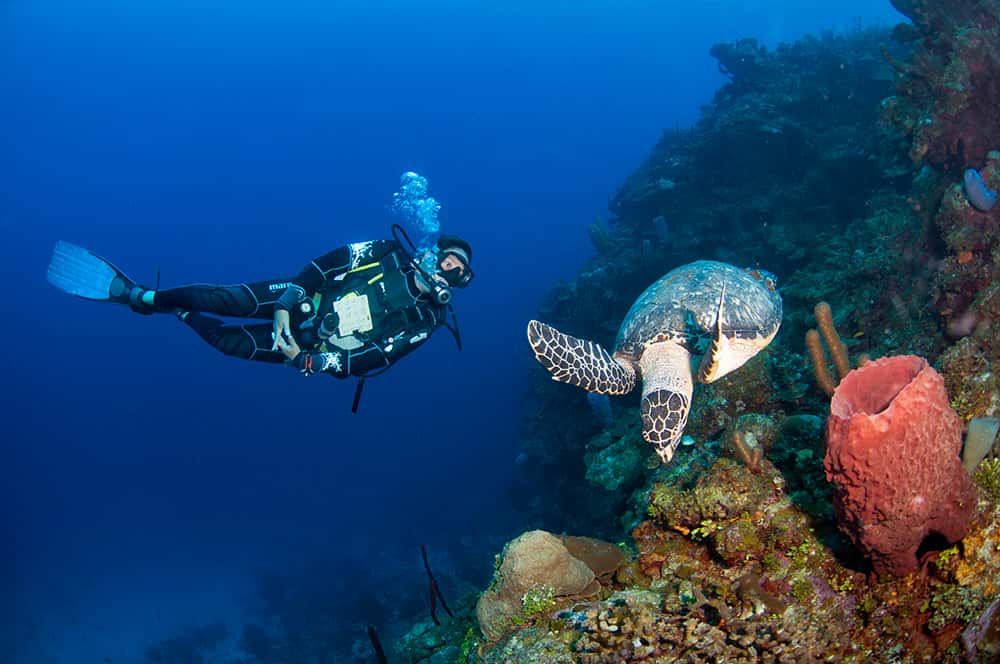 Naboo Resort & Dive Center
