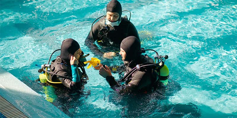 Divers Supply Macon