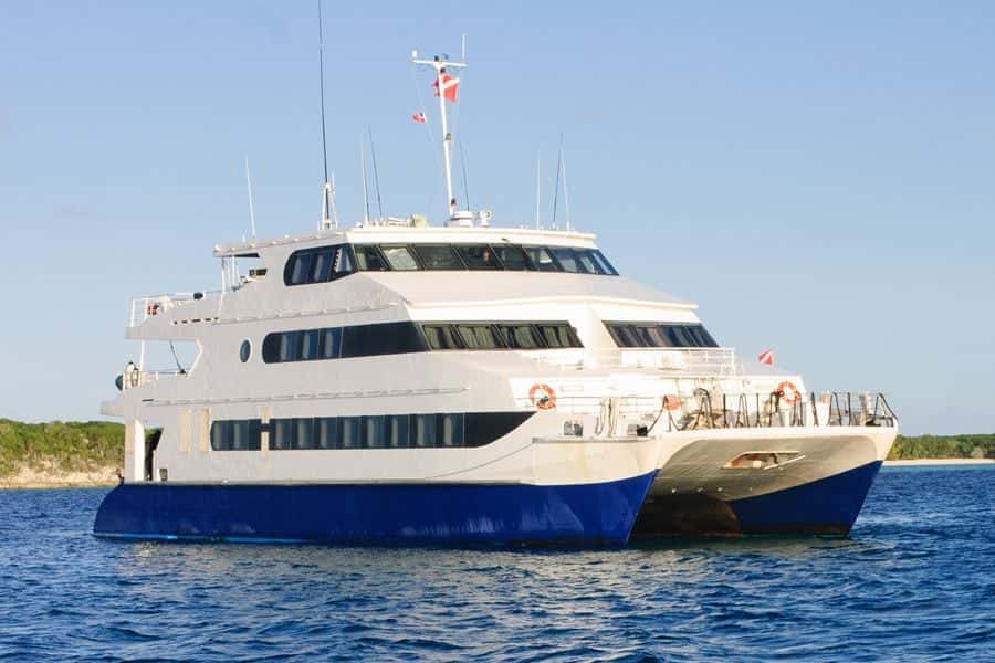 All Star Liveaboards