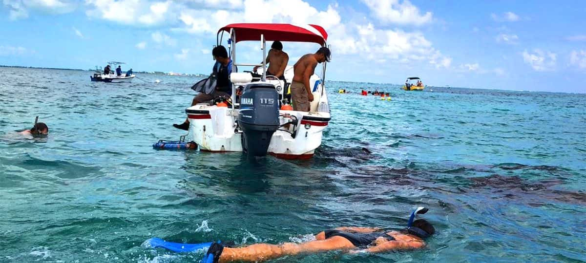 Ambergris Divers