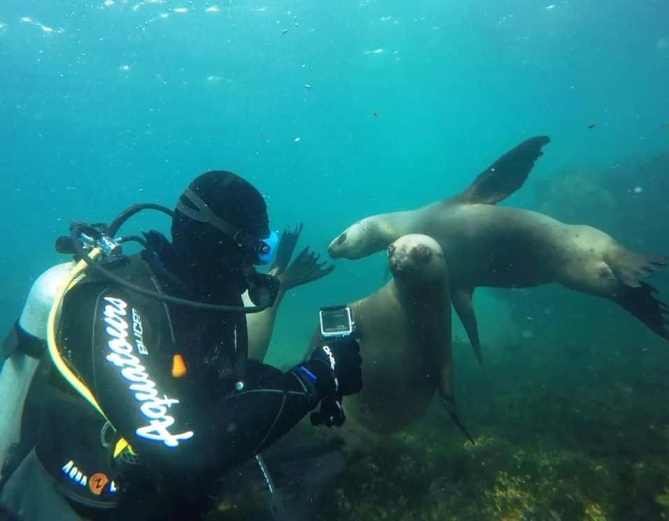 Aqua Tours