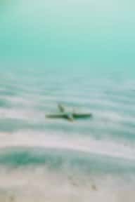 Utila Water Sports — photo 2