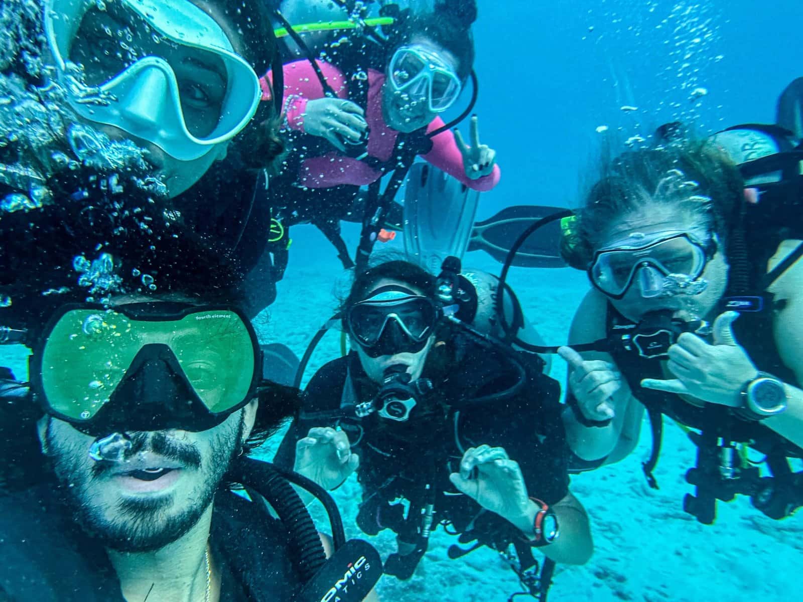 Mountains to Seas Adventures