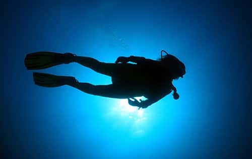 Narcosis Scuba Center — photo 5