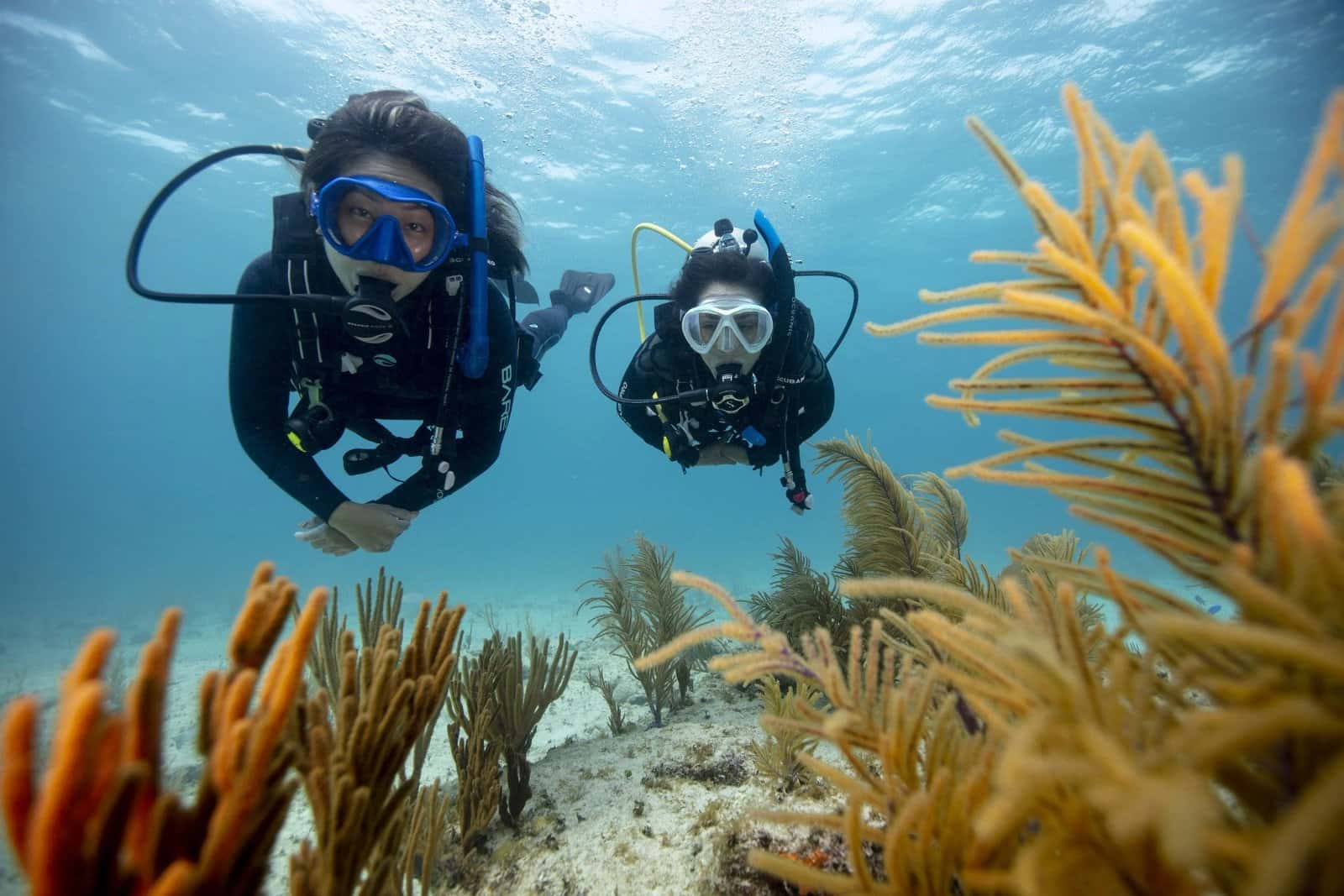 Scuba With Justin — photo 3