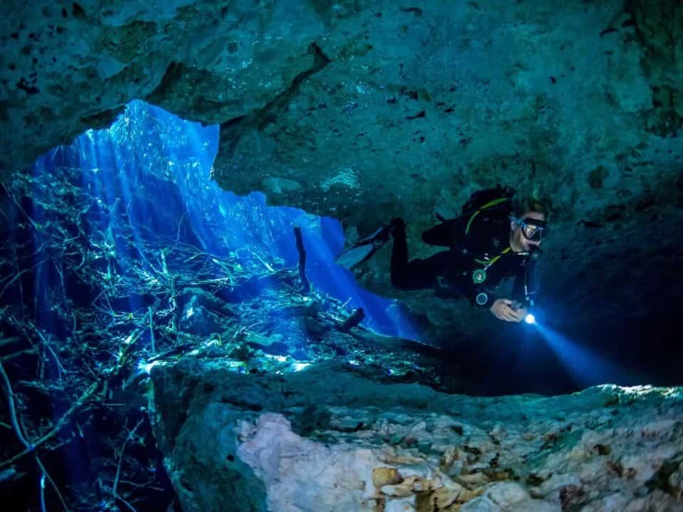 La Calypso Dive Center — photo 2