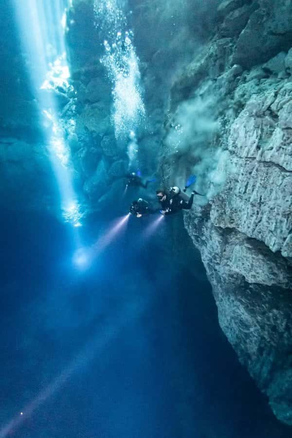 La Calypso Dive Center — photo 3