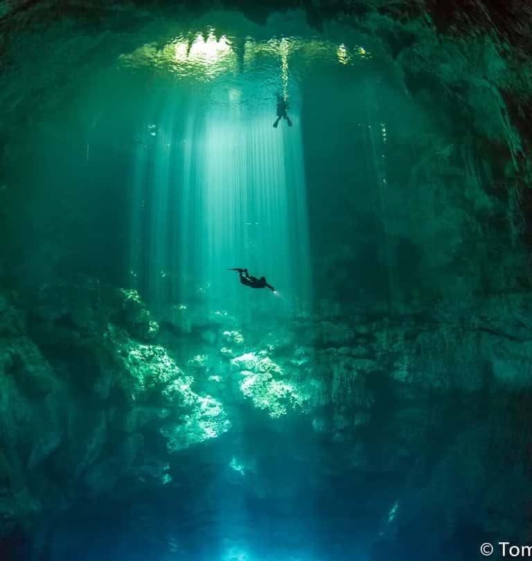 La Calypso Dive Center — photo 4