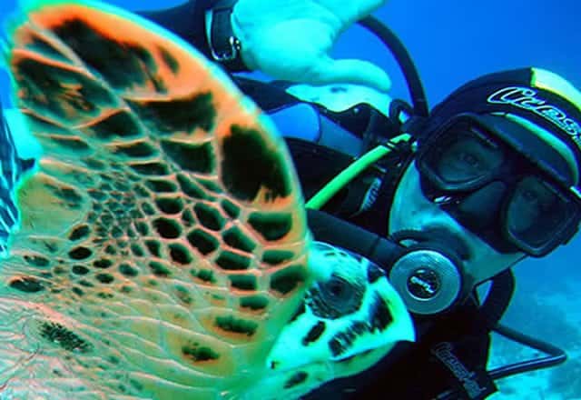 La Calypso Dive Center — photo 5