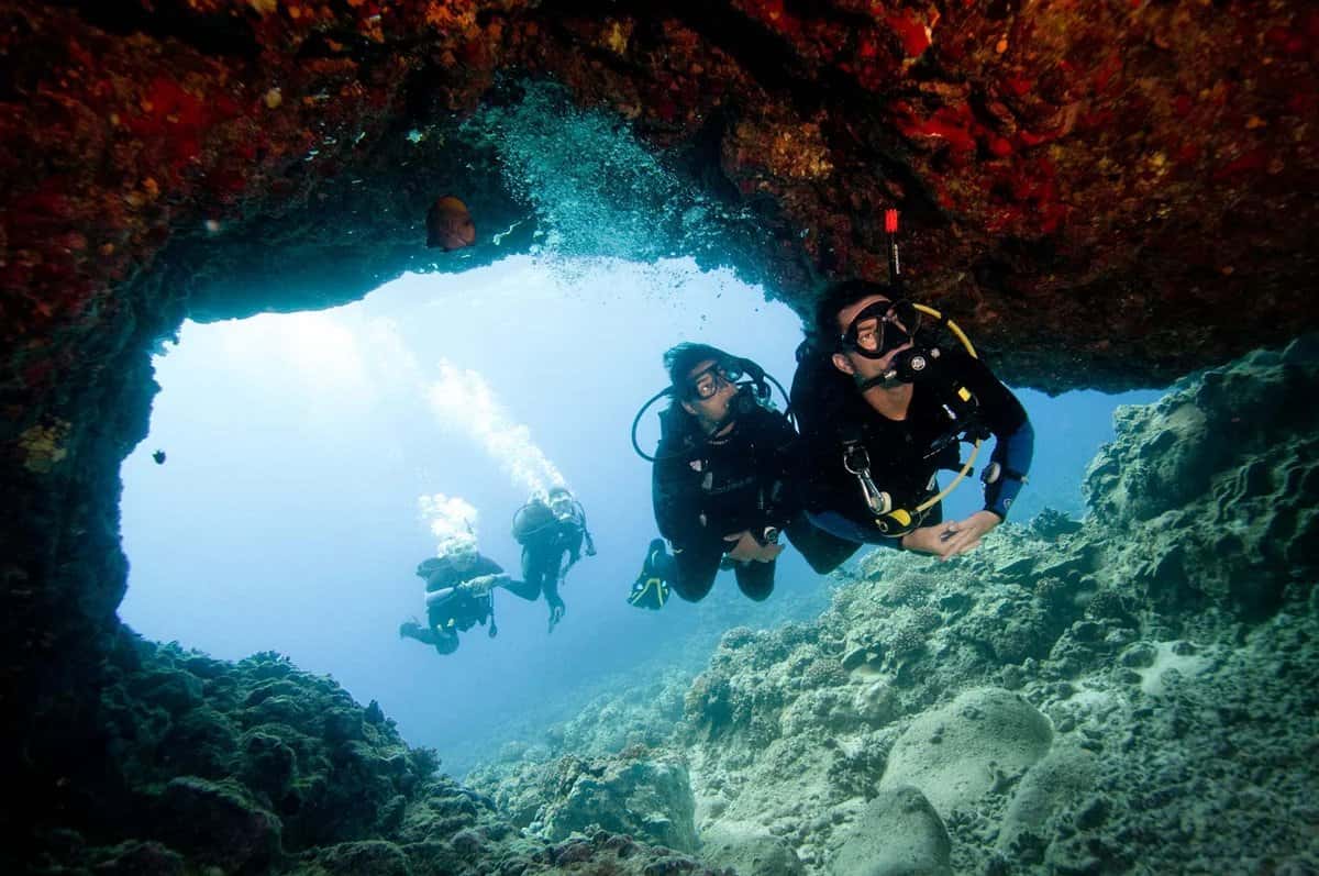 Dive Santa Barbara — photo 4