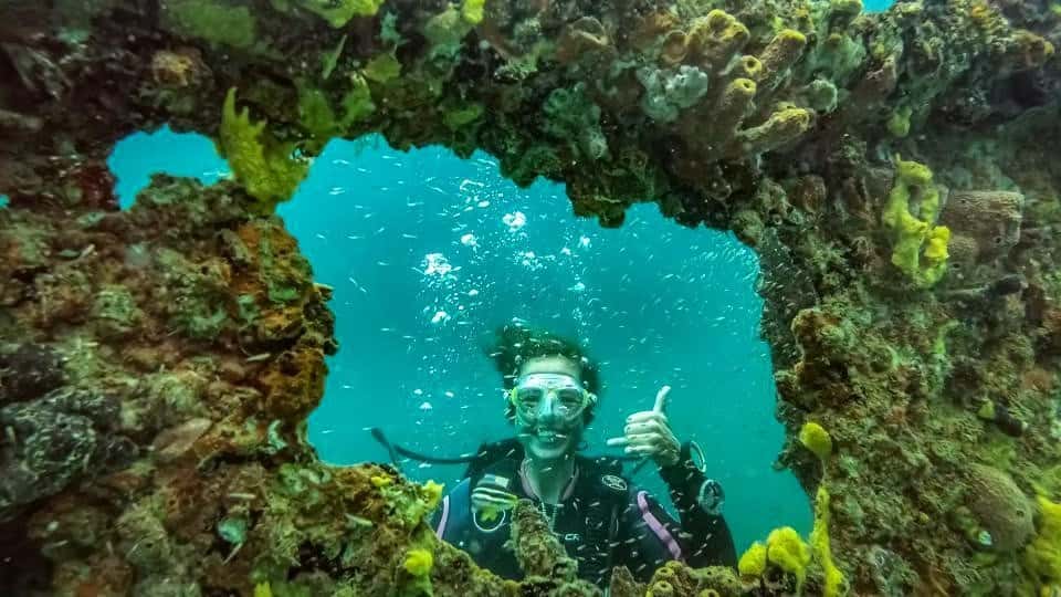Panama Dive School — photo 5