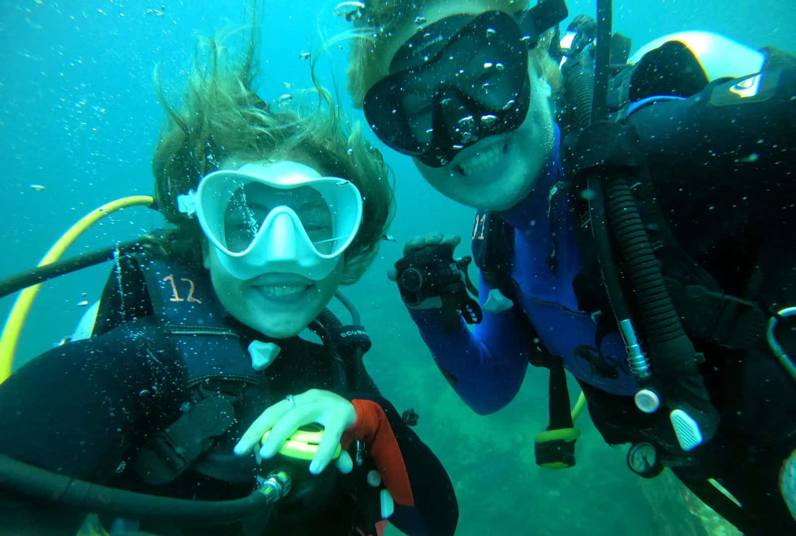 Panama Dive School — photo 4