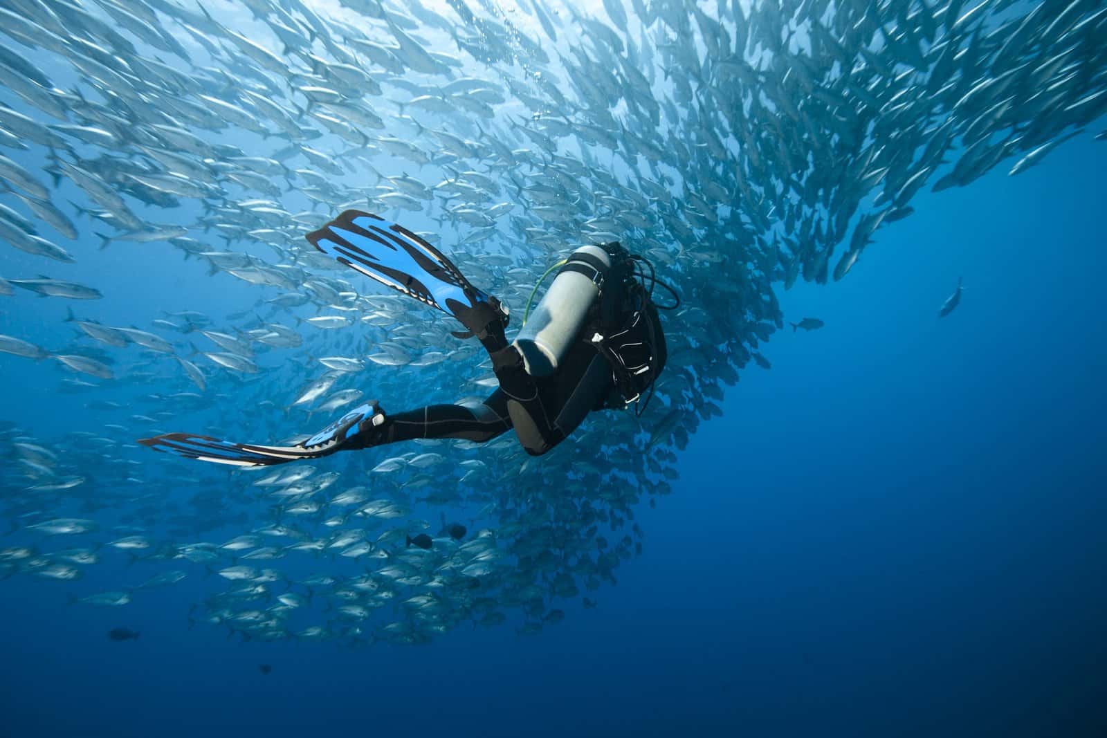 Costa Rica Adventure Divers