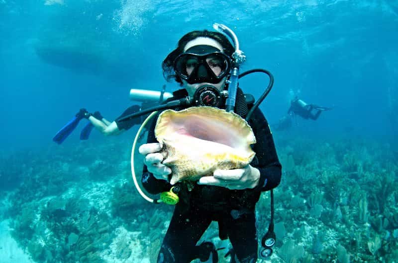 Dive Isla Bella — photo 4