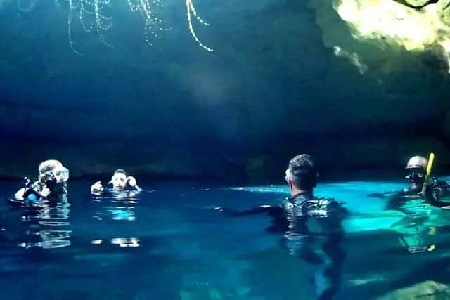 Crystal River Kayak Company & Dive Center — photo 4
