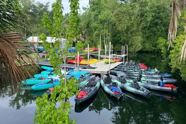 Crystal River Kayak Company & Dive Center