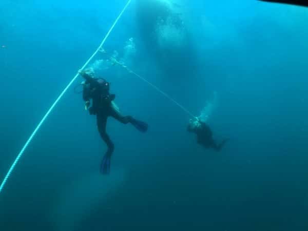 Panama City Diving — photo 3
