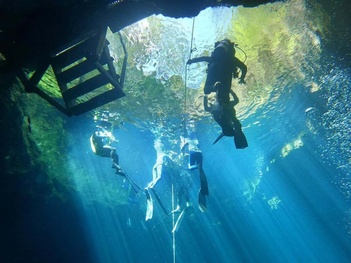The Cenote Guy — photo 2