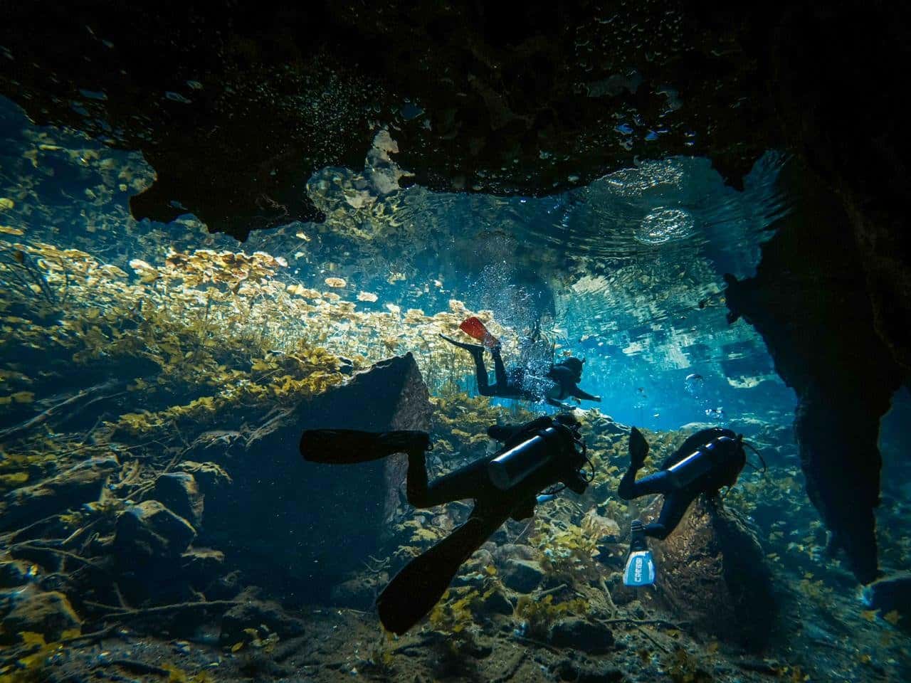 The Cenote Guy