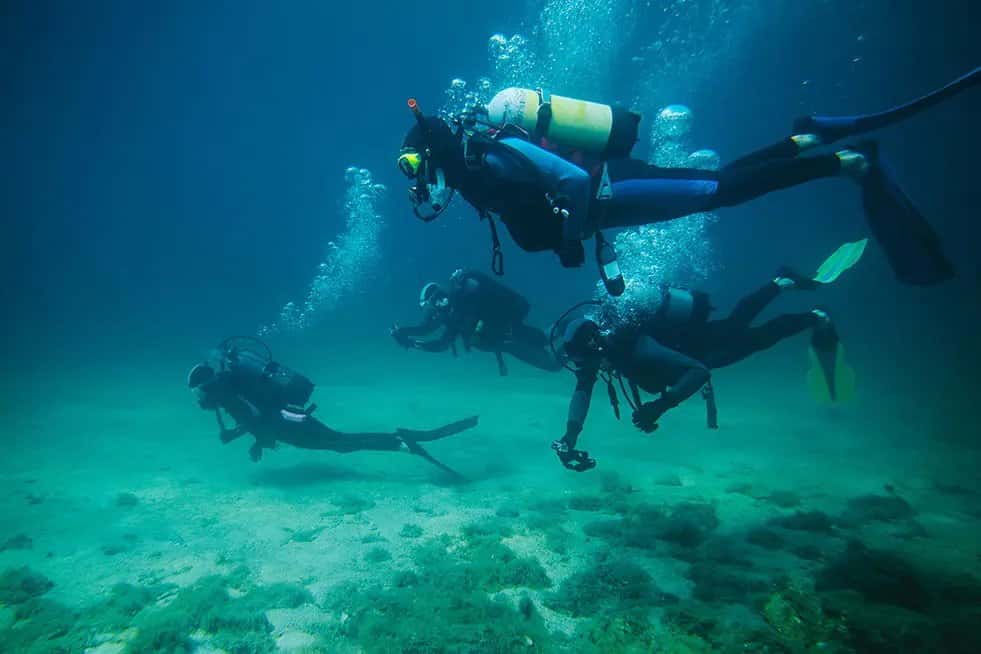 Central Oregon Diving