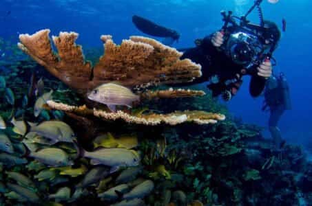 Squalo Adventures Dive Center — photo 4